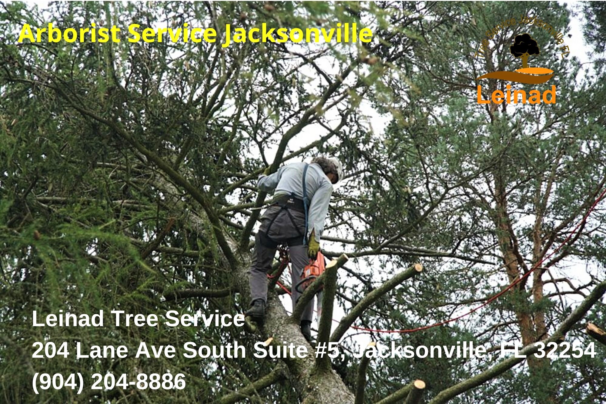 Leinad Tree Service Image